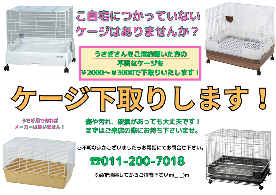 ケージ下取りします！_20250515_102329_0000.png