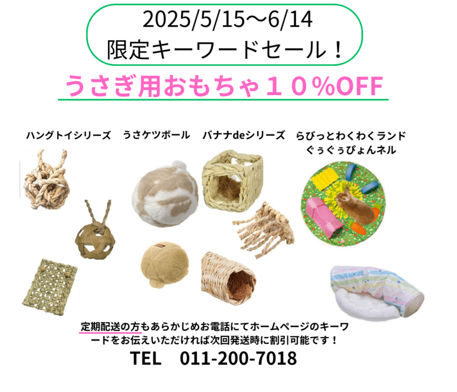子うさぎ紹介のコピーのコピーのコピー_20250517_204139_0000.png