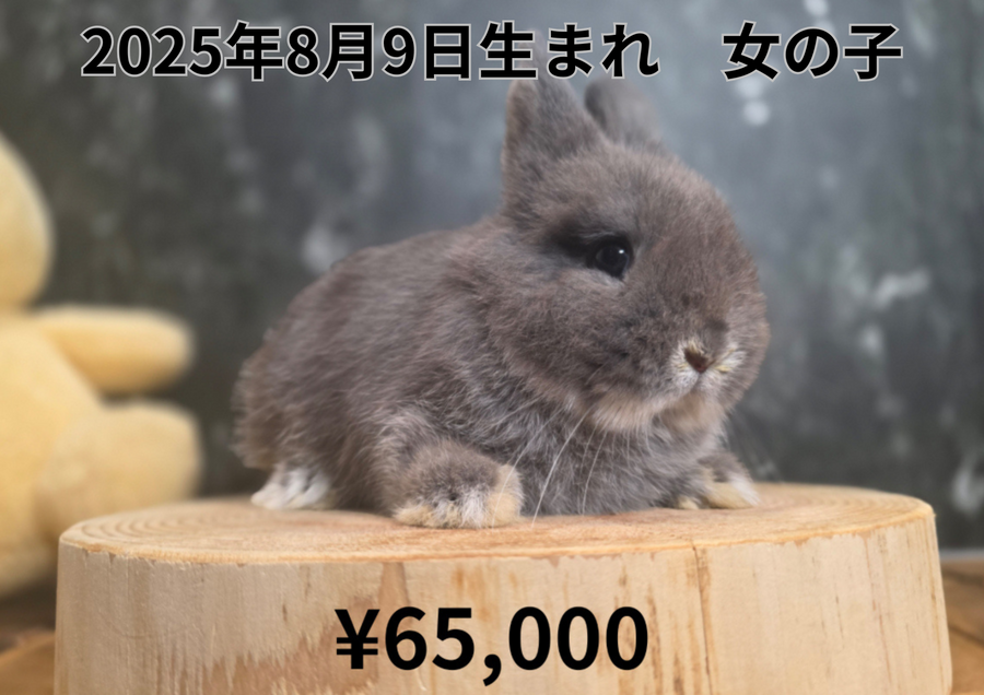 ブルーオター20250809.PNG