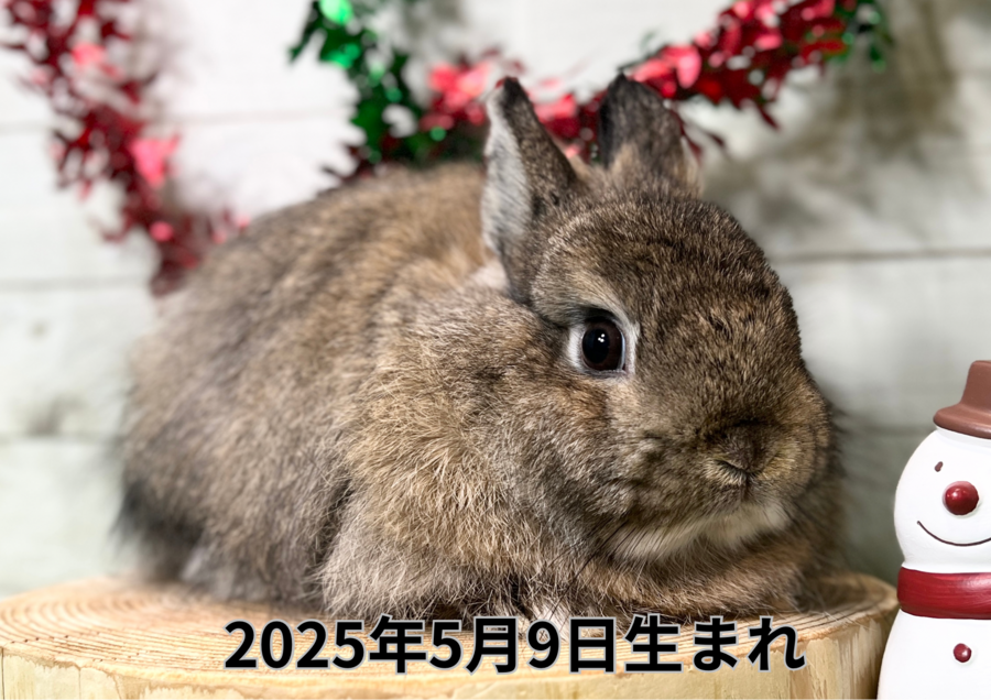 バナー変更 (3).PNG