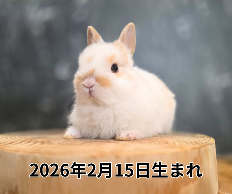 2026年2月15日生まれ_20260319_184942_0000.png
