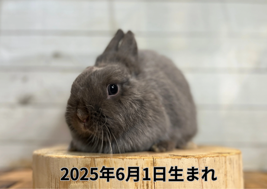 20260310バナー変更 (3).PNG