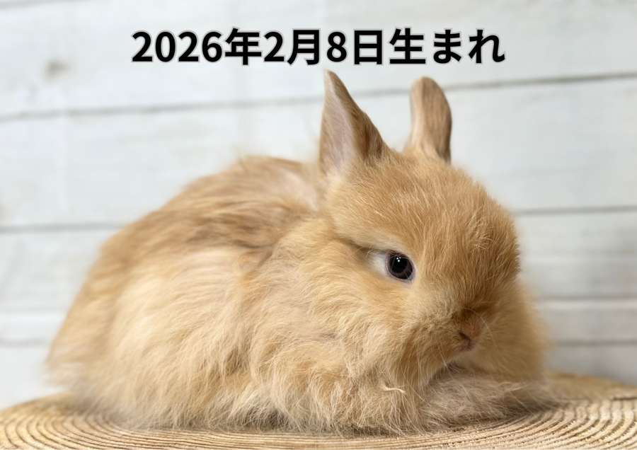 20260321バナー変更 (2).PNG