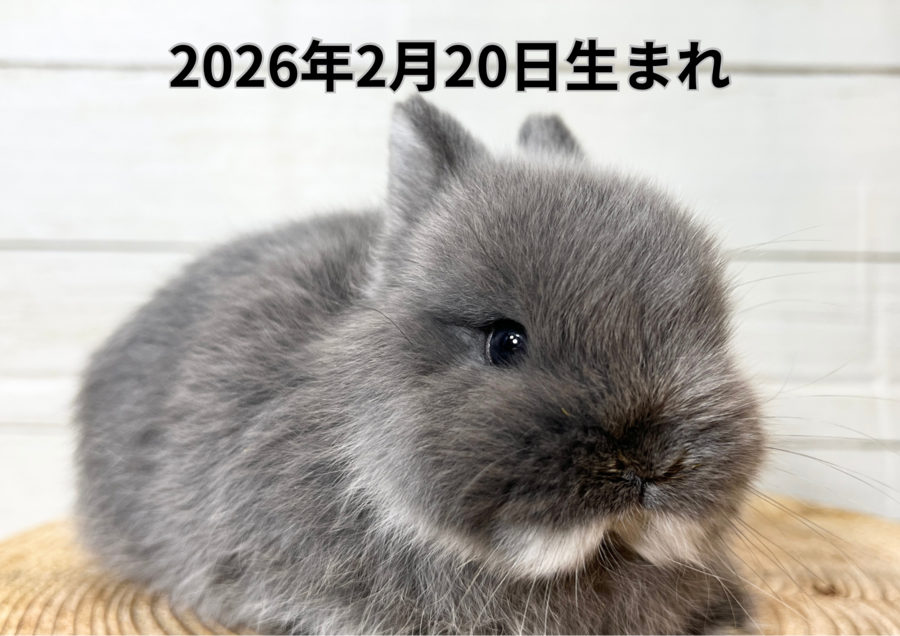20260321バナー変更 (6).PNG