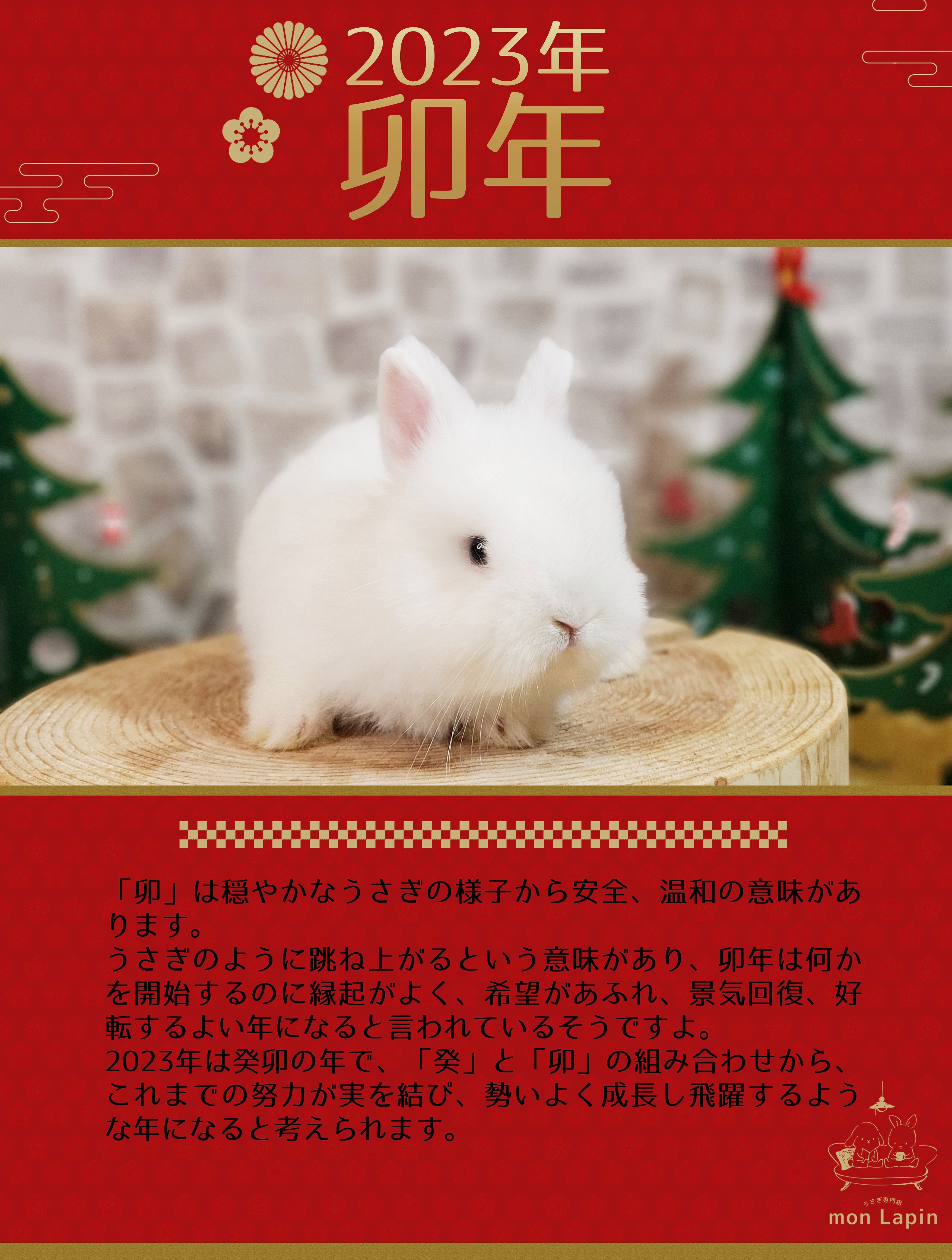 最初の うさぎ様専用 .ro