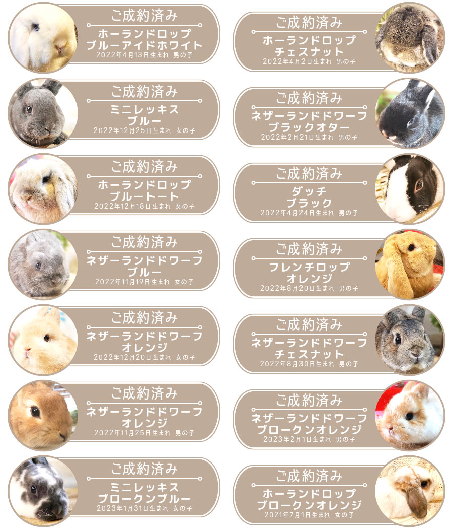 バナー売約済み.jpg