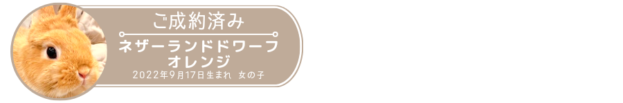 20230327_172750_0007.png